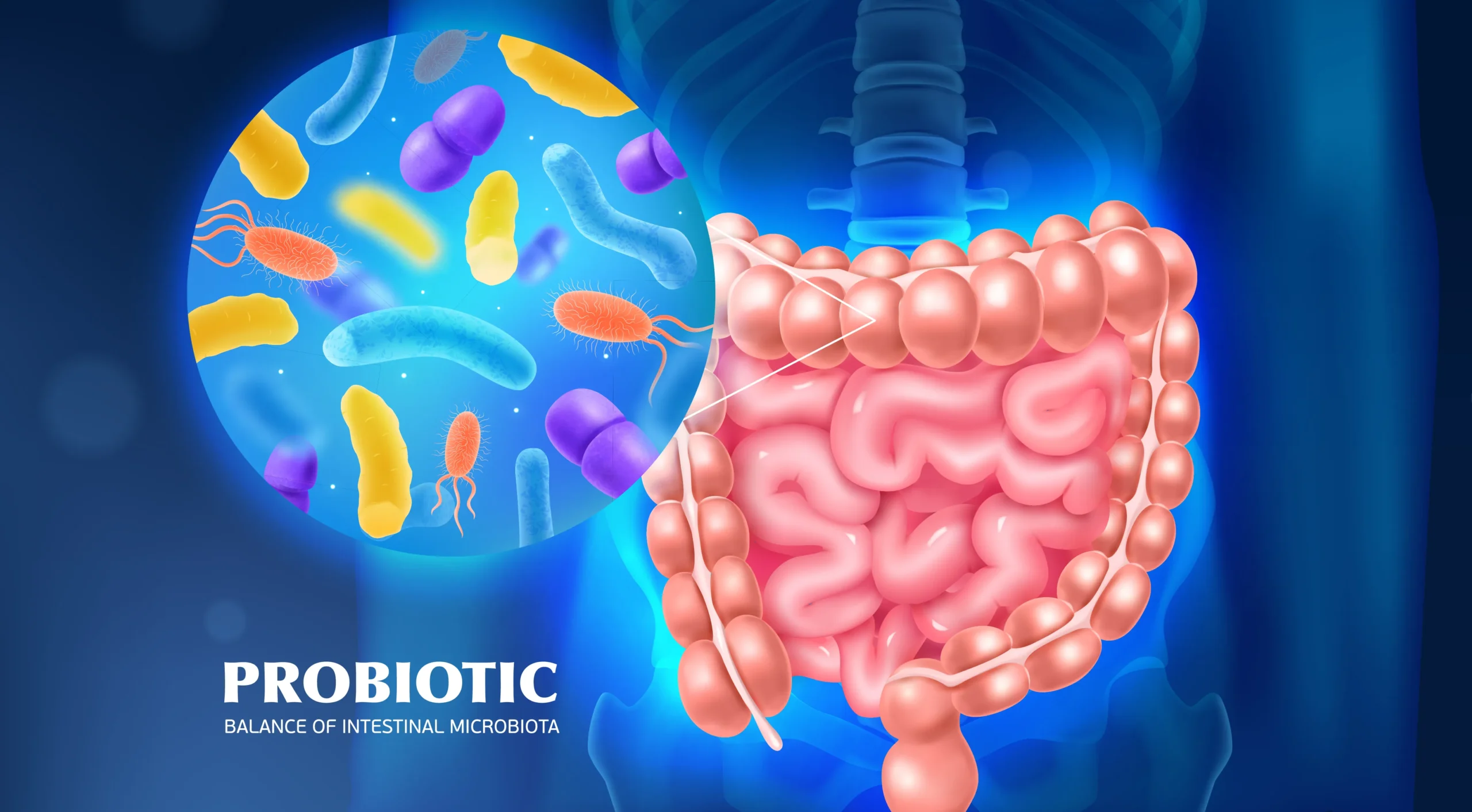 How to Clean Your Colon with a Probiotic Supplement